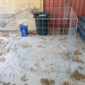 Gamefowl Rooster Cage/Chicken Pens- 2x2x2