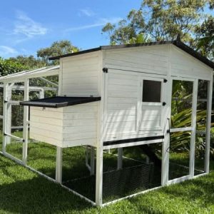 Majestic Chicken Coop & Run