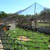 Poultry netting